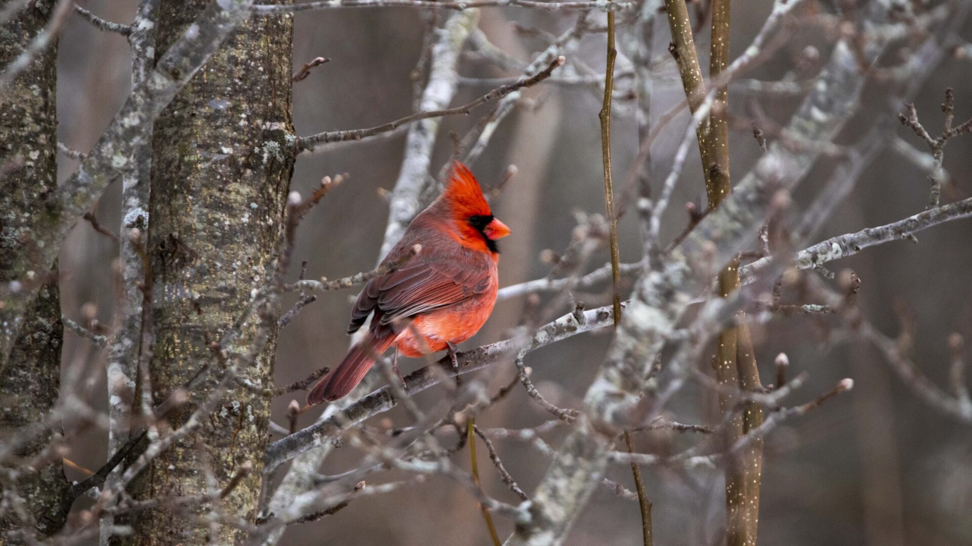 Tiverton Wastewater District