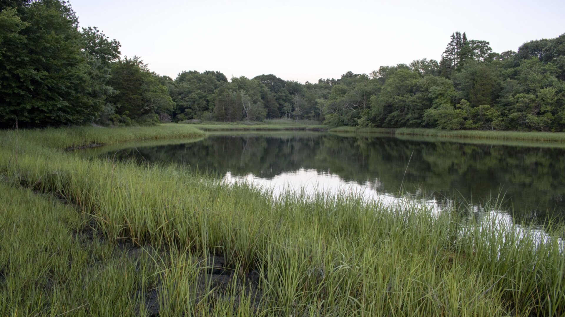 Tiverton Wastewater District