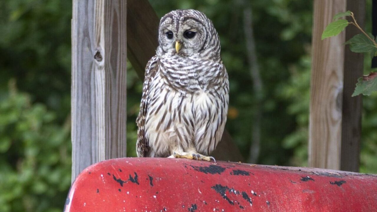 Tiverton Wastewater District